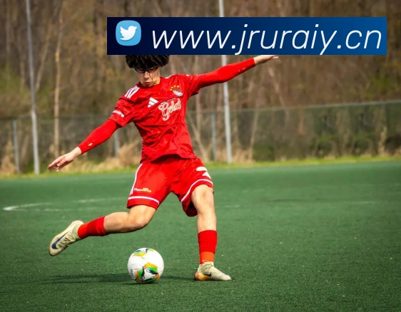 开云线上登录平台入口平台生态图